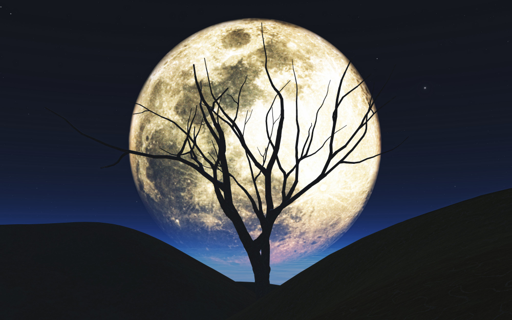 Ritual da Lua Cheia para Prosperidade: Passo a Passo Completo
